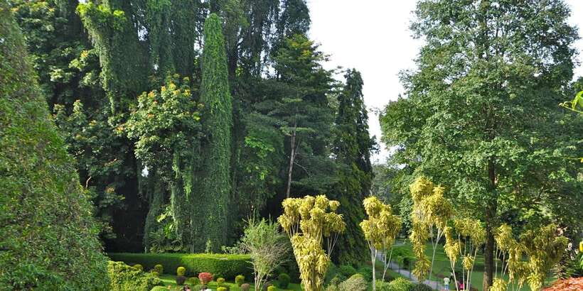 Pinnawala & Kandy Day Tour from Negombo - Key Highlights You’ll Actually Feel in the Day