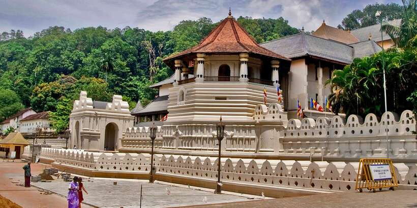 Pinnawala & Kandy Day Tour from Negombo - Royal Botanic Gardens (Kandy): 147 Acres of Plants and Practical Learning