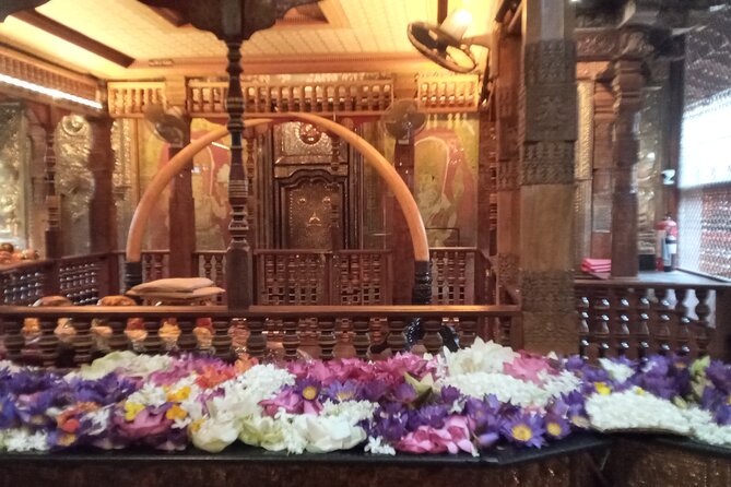 Pinnawala private day trip from colombo or negombo - Hotel Pickup, Comfortable Car Time, and What You Can Adjust