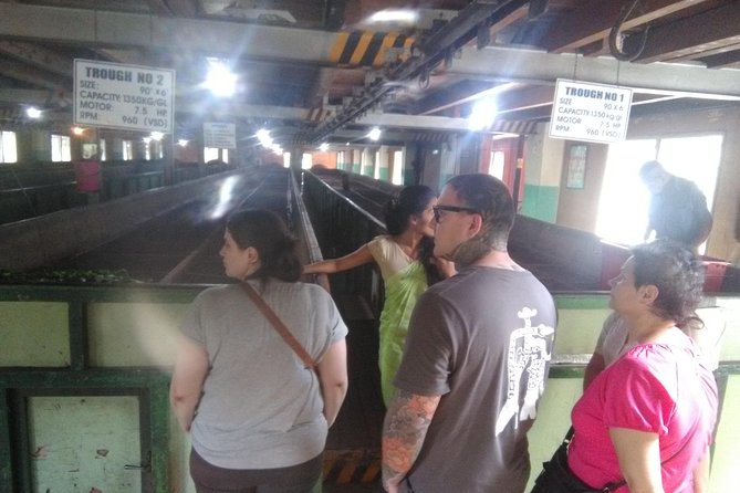 Private all inclusive Day tour Kandy, Pinnawala, & your own selected attractions - Pinnawala Ape Gama Near the Elephant Orphanage Area