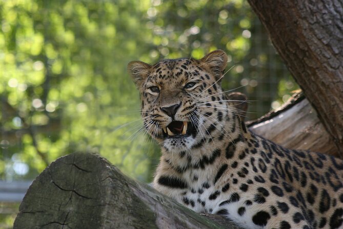 Private Day Trip to Yala National Park from Colombo - Why this Colombo to Yala day trip feels worth the long hours