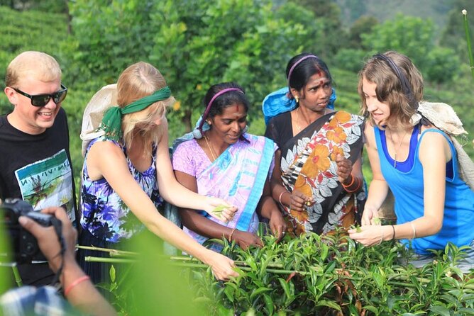 Private Galle Day Tour with Boat Safari & Tea Factory Visit - All Inclusive - Morning Pickup and Why the Early Start Works in Galle