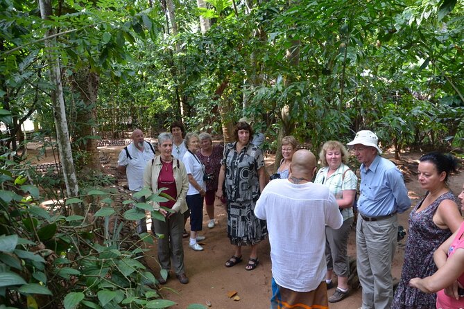 Private Galle Day Tour with Boat Safari & Tea Factory Visit - All Inclusive - Price and Inclusions: What You Get for $135 and Why It Feels Fair