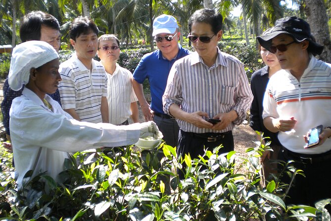 Private Galle Day Tour with Boat Safari & Tea Factory Visit - All Inclusive - The Route All Tied Together: How the Stops Work as a Cohesive Day