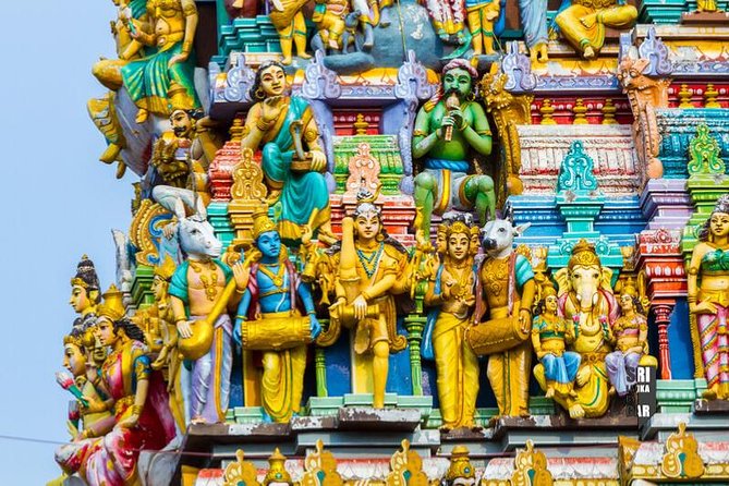 Private Half-Day Colombo City Tour - Start-time flexibility, including cruise and layover days