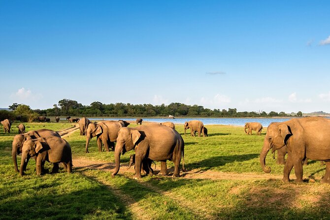 Private Multi-Day Outdoor Tour in Sri Lanka - Why this Negombo-based private tour makes sense