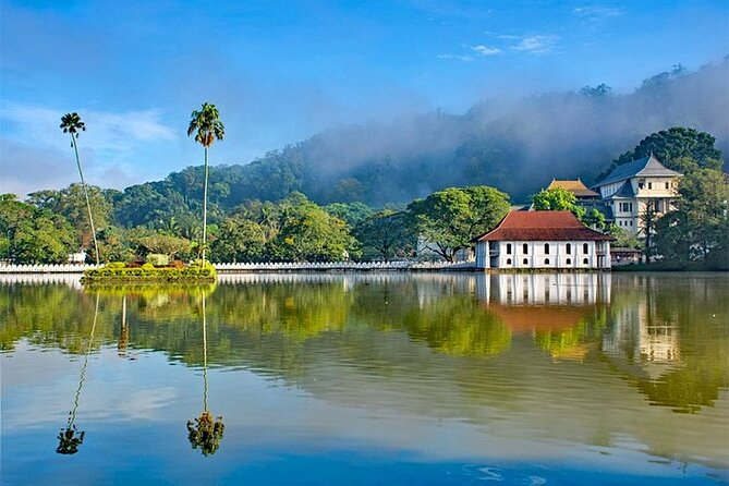 Private Multi-Day Outdoor Tour in Sri Lanka - Day 3: Kandy’s Temple of the Sacred Tooth Relic and Royal Botanical Gardens