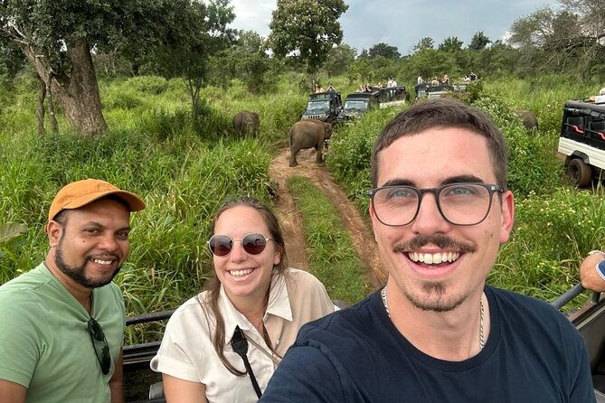 Private Tour Experiences Across Sri Lanka - How a private Negombo day packs UNESCO, tea country, elephants, and the sea