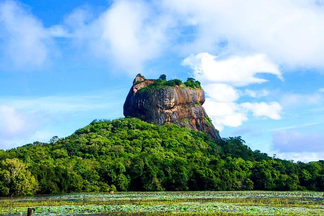 Private Trip to Sigiriya, Dambulla & safari from Colombo/ Negombo - Minneriya National Park 4WD safari: elephants are the main event