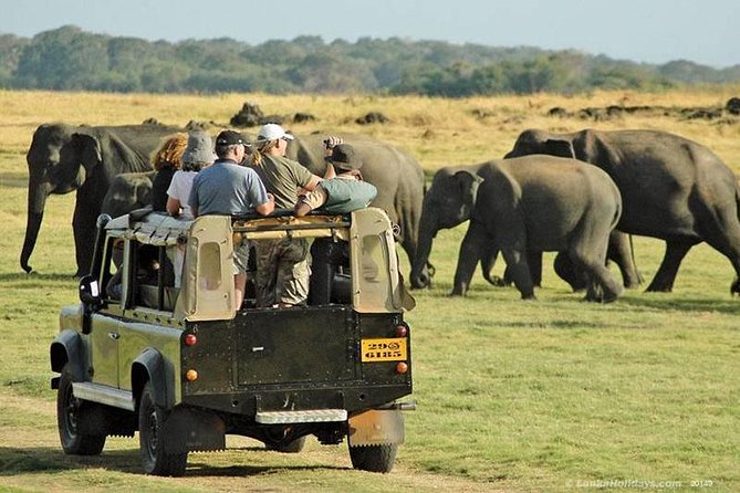 Private Trip to Sigiriya, Dambulla & safari from Colombo/ Negombo - Price and logistics: what $67 covers, and what you must budget for