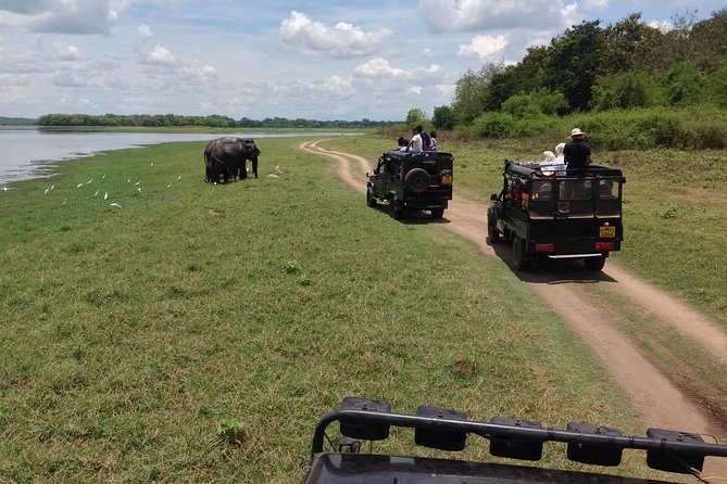 Private Trip to Sigiriya, Dambulla & safari from Colombo/ Negombo - Driver and guide experience: where your day is won or lost