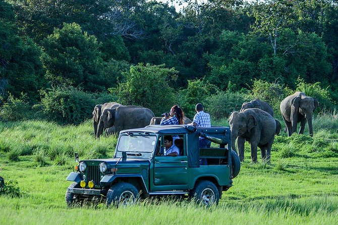 Private Trip to Sigiriya, Dambulla & safari from Colombo/ Negombo - Who should book this day trip, and who should consider something else