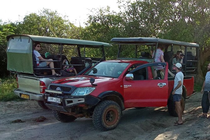 Private Wilpatu National Park Leopard safari from Colombo/Negambo - Why Wilpattu is a smart choice for a leopard-focused day