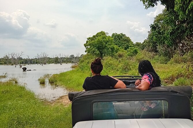 Private Wilpatu National Park Leopard safari from Colombo/Negambo - Wildlife in Wilpattu: what you can actually look for