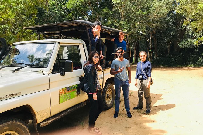 Safari at Wilpattu National Park from Negombo (All inclusive day tour) - Wildlife Targets That Pay Off, Plus the Birds to Keep Your Eyes on