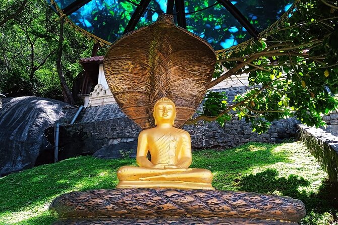 Safari Day Tour to Sigiriya Lion Rock and Golden Cave Temple - Who Should Book This Tour (and Who Might Want a Different Plan)