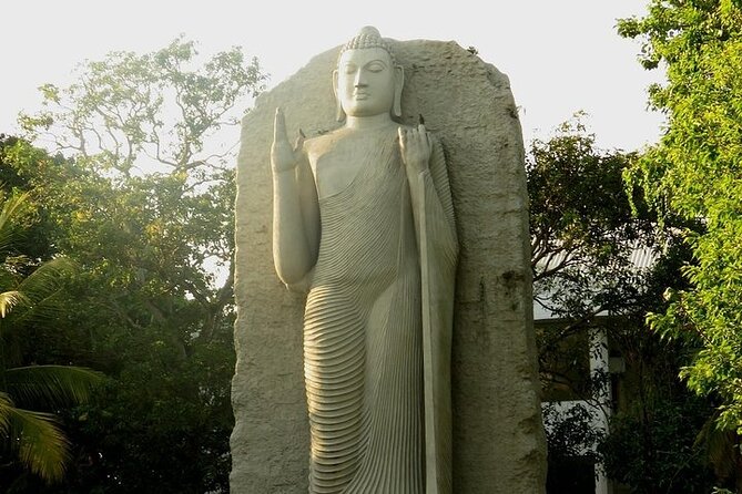 Shangri-La Colombo City Tour. - Diyatha Uyana: where locals actually slow down