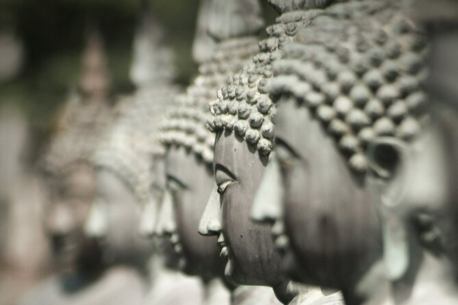 Shore Excursion Colombo City tour - Temples, monuments, and city spaces: a stop-by-stop feel