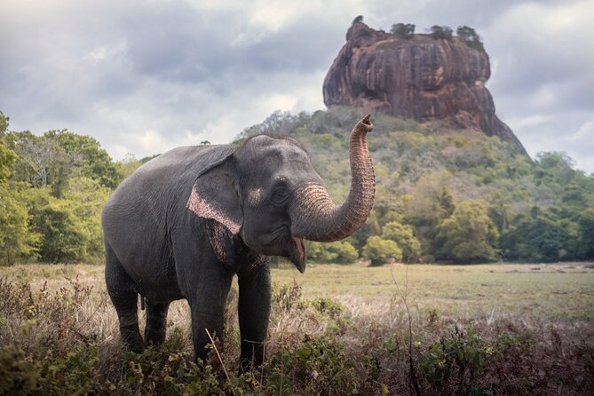 Sigiriya and Dambulla Cave Temple Private Day Trip From Bentota - Dambulla Cave Temple: five caves, 150 plus statues, and murals you can take your time with
