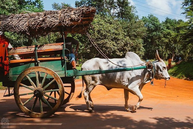 Sigiriya and Dambulla Private Full-Day Guided Tour - Food, water, and packing tips for an 11 to 13 hour day