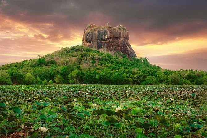 Sigiriya and Dambulla Tour (All Inclusive) - Price and Value: Why $140.20 Can Be Fair