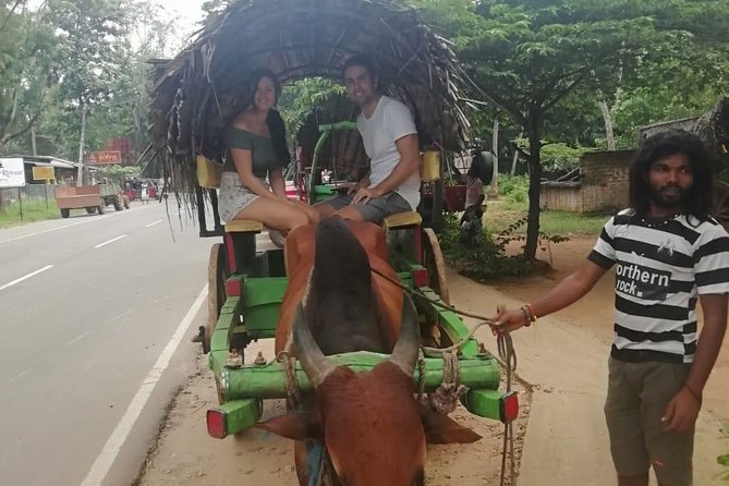 Sigiriya city tour from Negombo & Colombo with traditional Lunch. - Sigiriya Lion Rock: metal steps, fortress ruins, and the climb reality check