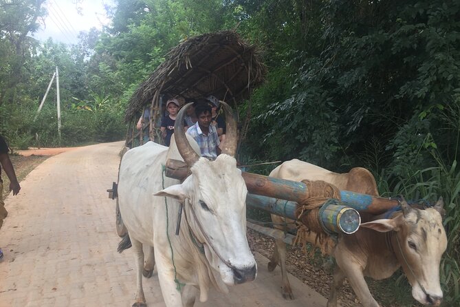 Sigiriya Day Trip with Experts - The optional rural village lunch: a calmer look at daily life
