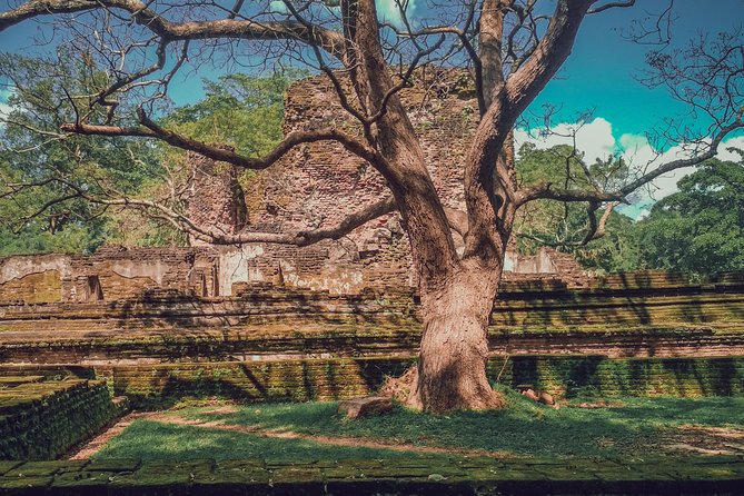 Sigiriya, Polonnaruwa & Dambulla "Trilogy" Day Tour from Colombo - Who should book this Trilogy tour, and who should reconsider