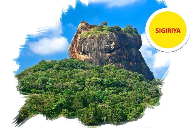 Sigiriya Rock and Dambulla Cave Temple all inclusive Private Day Trip - Private minivan logistics that actually reduce stress