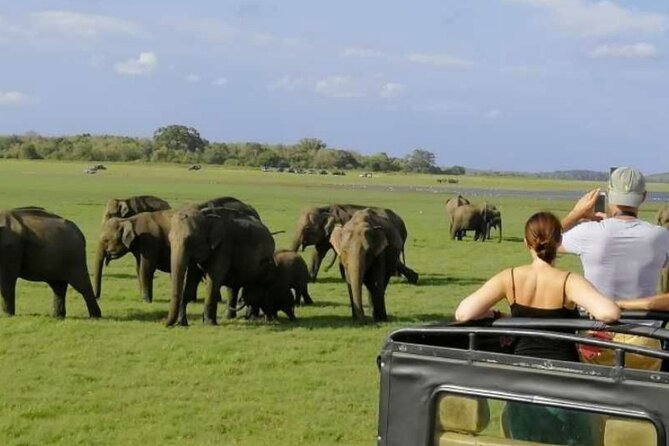 Sigiriya Rock & Cave Temple with Jeep Safari Private Day Trip - 4x4 Safari in Minneriya or Kaudulla: Elephants and the Waiting Game