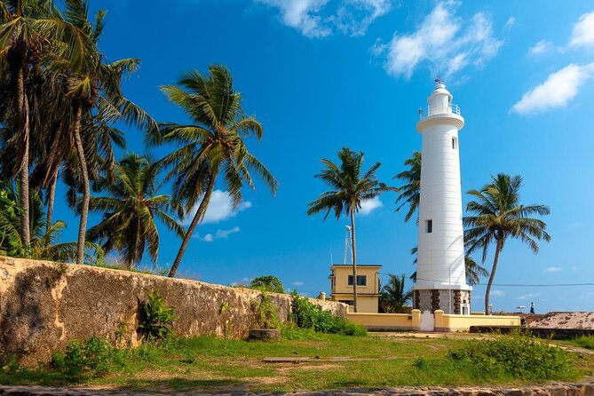 Southern Sri Lanka Sightseeing Day Trip From Colombo & Negombo - Key things that make this tour worth a look