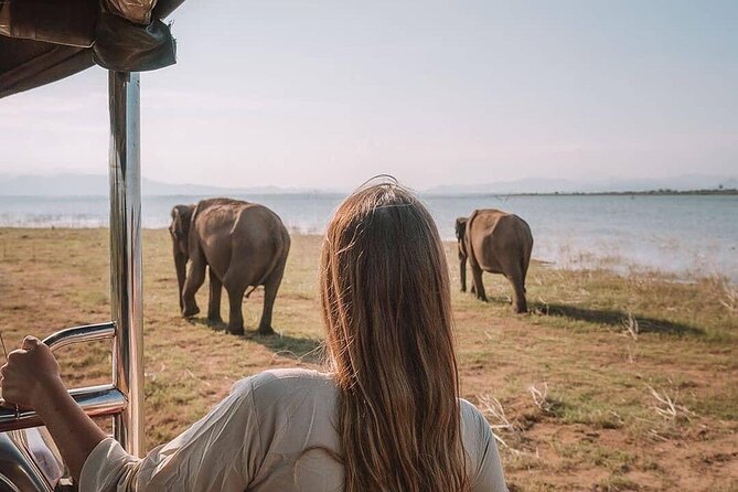 Sri Lanka 03 night 04 days budget tour package - Price and logistics: what $415 covers, and what you should confirm