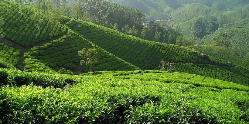 Sri Lanka: 2-Day wildlife tour; rainforest and National park - Udawalawe National Park safari: the jeep ride that tends to steal the show