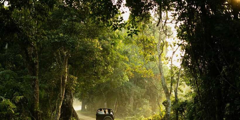 Sri Lanka: 2-Day wildlife tour; rainforest and National park - Overnight near Udawalawe: basic, but with the right function