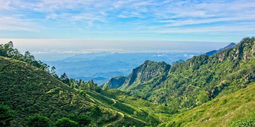 Sri Lanka: 2-Day wildlife tour; rainforest and National park - Tea stops in Nuwara Eliya: factory visit, tea trails, and those garden stops