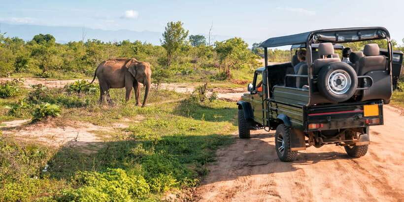 Sri Lanka: 2-Day wildlife tour; rainforest and National park - Price and logistics: what $350 really buys, and what could cost extra