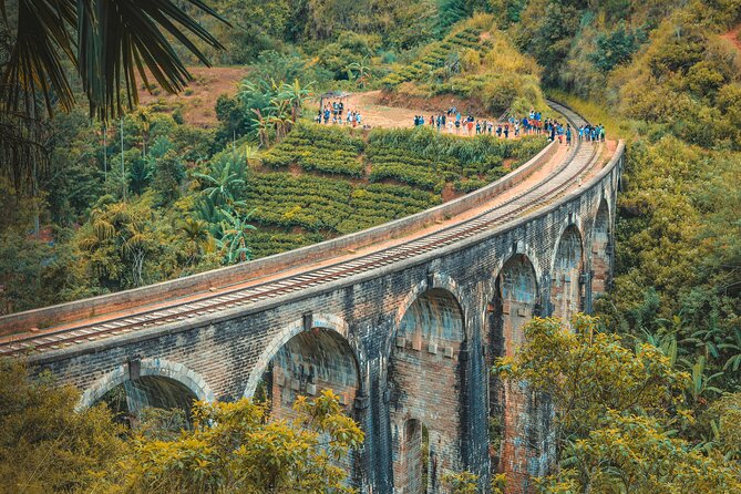 Sri Lanka 5 Day tour Best Nature and Culture include top hotels - Day 2, Pidurangala sunrise, elephant safari, and the road to Kandy