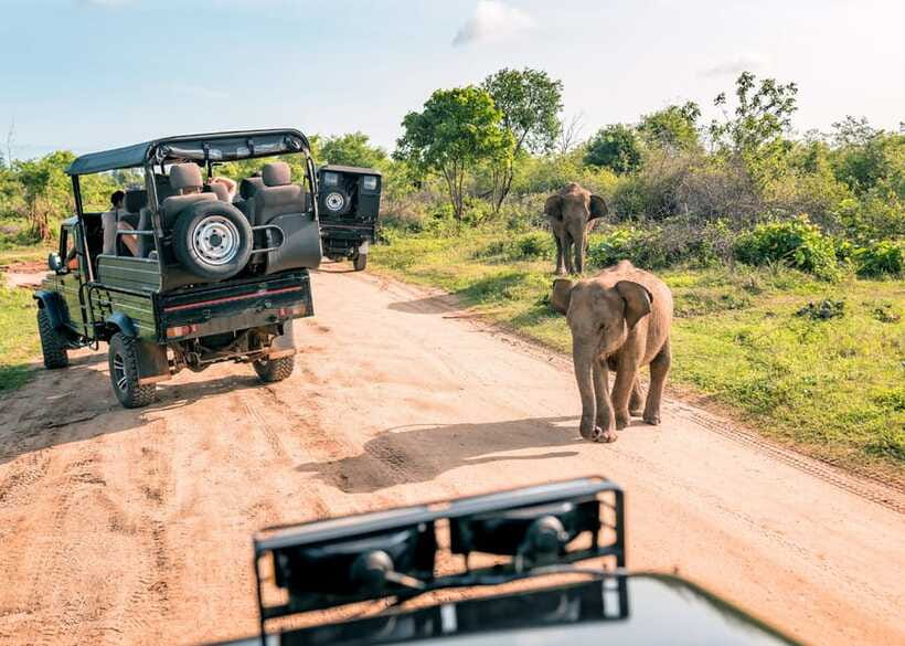 Sri Lanka Cultural Triangle Private 2-Day Tour+Wildlife Tour - Key things that make this trip click