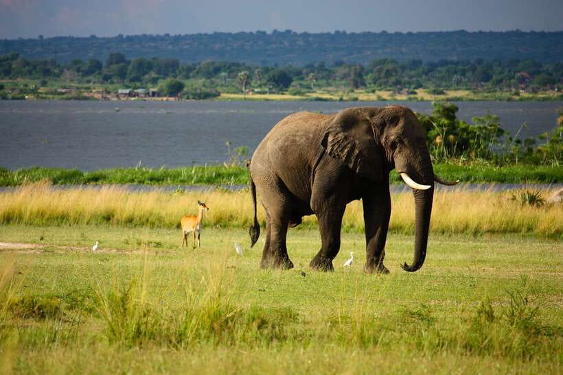 Sri Lanka Cultural Triangle Private 2-Day Tour+Wildlife Tour - A two-day Cultural Triangle route that runs on early mornings