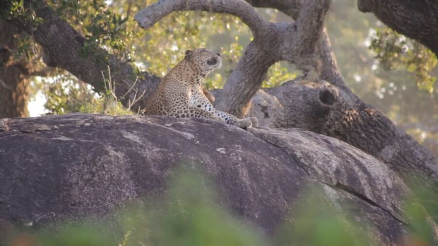 Sri Lanka Green Bless- 2-day Private Trip To Enjoy Nature - Price and value: what $298 includes and what you should budget