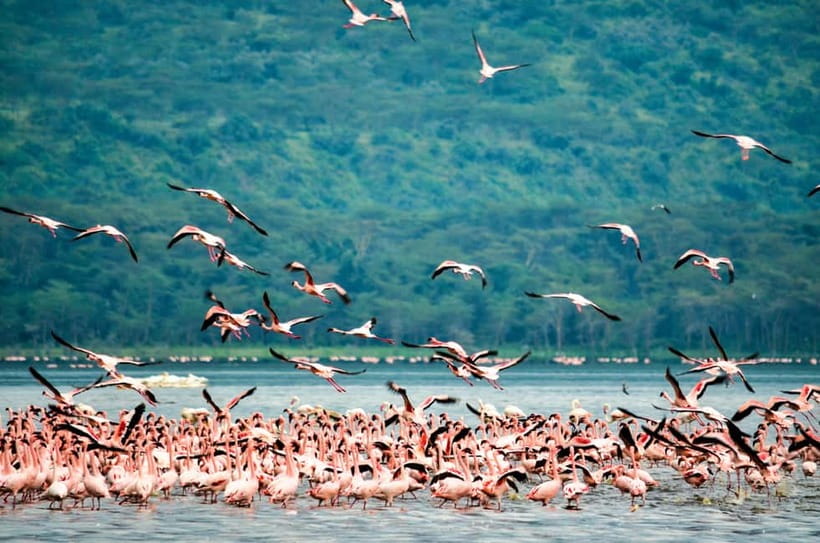 Sri Lanka Nature, culture, history and wildlife in 4 days - Who should book this Sri Lanka nature and culture tour?