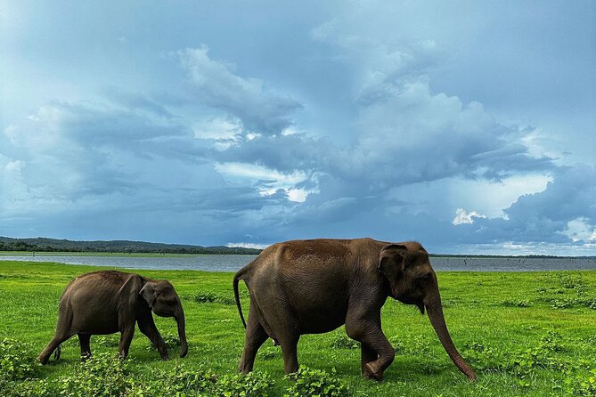 Sri Lanka Personal Tour Driver in private vehicle - Colombo Airport Pickup, the Part That Usually Wastes Your Time