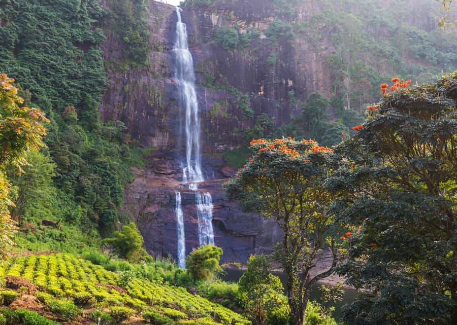 Sri Lanka Private 2-day Tour:Train Trip, Kandy, Nuwara Eliya - Key highlights you should care about
