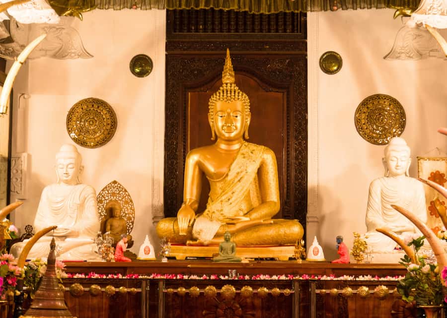 Sri Lanka Private 2-day Tour:Train Trip, Kandy, Nuwara Eliya - Should you book it
