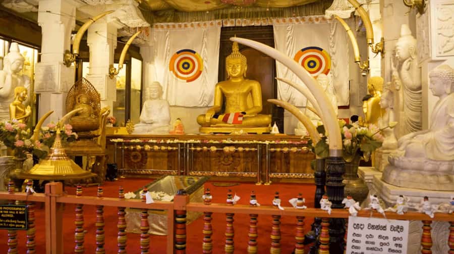 Sri Lanka Private 2-day Tour:Train Trip, Kandy, Nuwara Eliya - The Hill Country Blue Train: your moving front-row seat