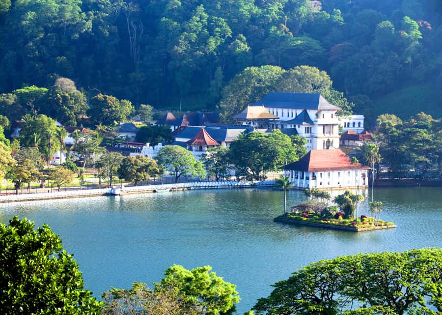 Sri Lanka Private 2-day Tour:Train Trip, Kandy, Nuwara Eliya - Peradeniya Botanical Garden: the calm break you’ll be glad you built in