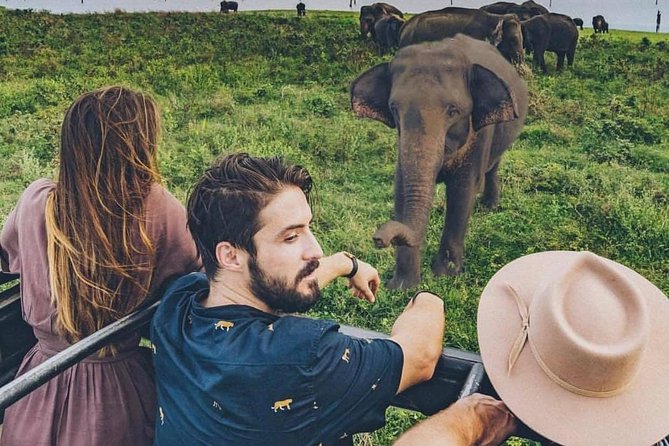 Sri Lanka private tour package 9 night 10 Day with driver+vehicle+accommodations - Day 7 Ravana Ella Falls to Tissamaharama and Yala Jeep Safari