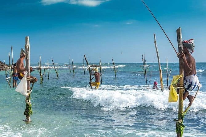 Sri Lanka Round Tour with English Speaking Driver Guide and Car - How “City and Airport Transfers” Works for Your Day Plan