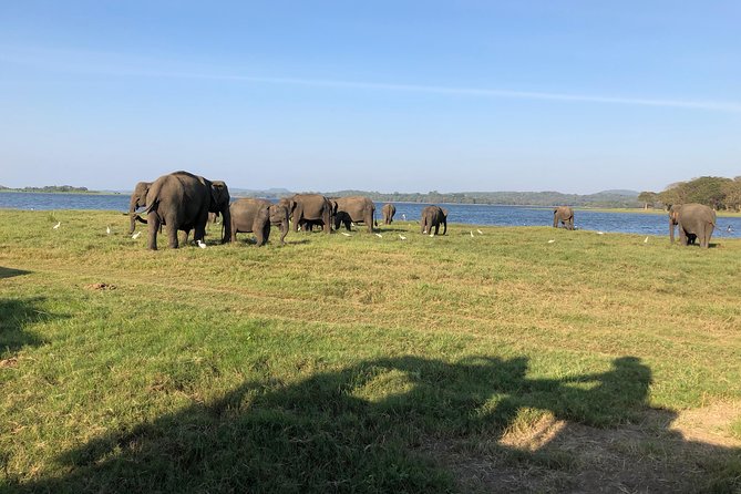 Sri Lanka Tour in 8 Days - Day 4: Ramboda Waterfall Photo Stop and Tea Country in Nuwara Eliya
