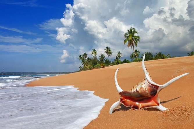 Sri Lanka tour itinerary . 6N/7D with driver, vehicle and H/B accommodations - Day 5, Kandy to Ella: the rail ride that makes the whole middle feel special